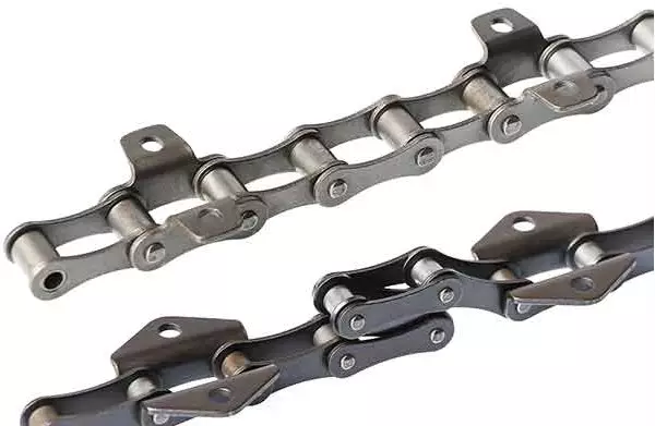 Types and Maintenance of Agricultural Chains